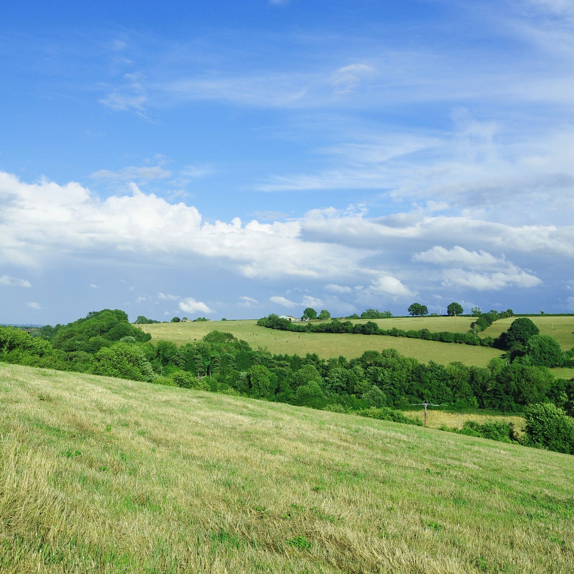 Green Field and Blue Sky